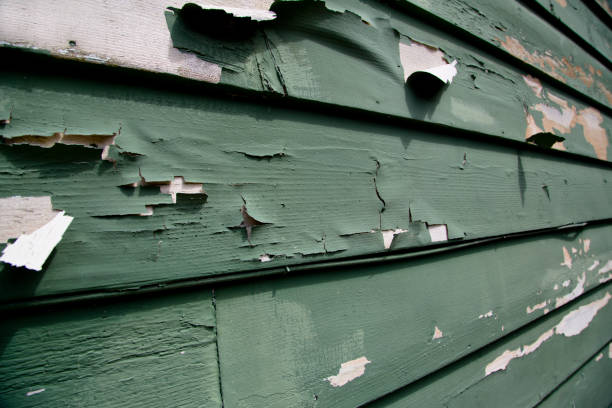 Trusted Sidney, OH Junk Removal Experts